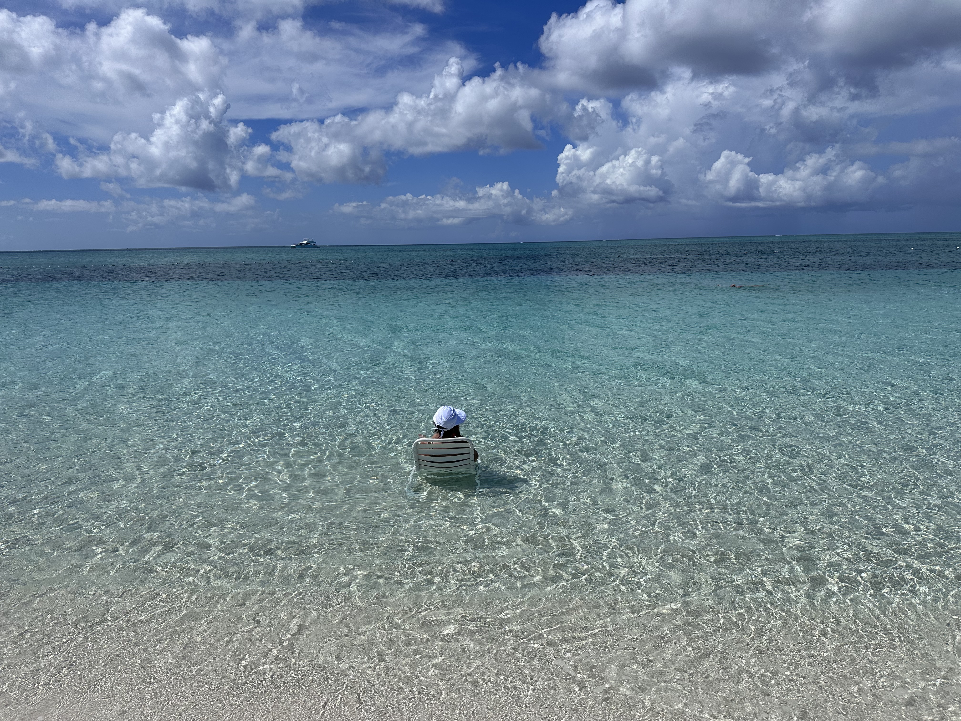 A memory from Christmas 2023